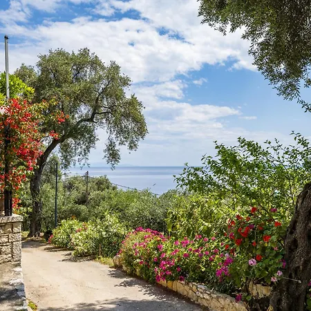 Holiday home Tatiana Seaview House By Konnect, Nisaki